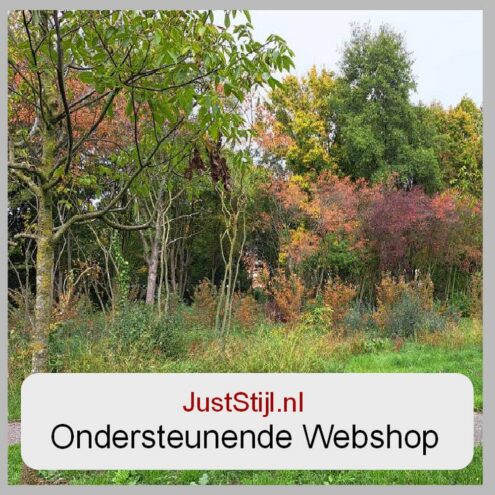 Extra Webshop JustStijl